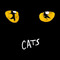Memory (메모리_Musical Cats OST) -ORCHESTRA(Fl, Cl, Vn, Vn, Va, Vc, Pf)