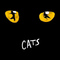 Memory (메모리_Musical Cats OST) -ORCHESTRA(2Fl,2Ob,2Cl,2Bn,2Hn,2Tpt,2Trb,Tuba,Tim,Cym,Glk,Perc,P...